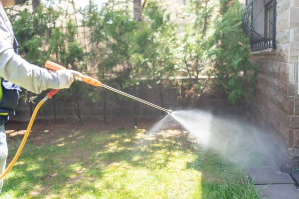 Trusted Green Valley, CA Pest Control Experts
