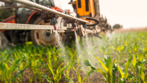Best Commercial Pest Control Services  in Green Valley, CA